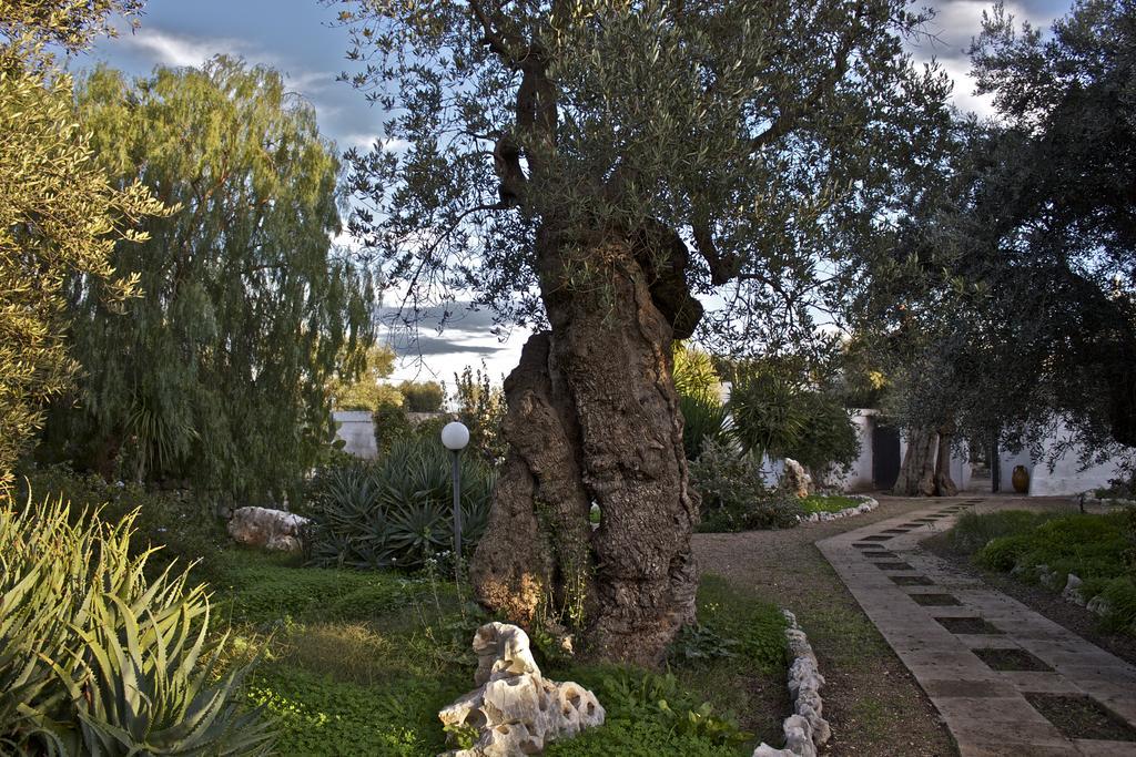 Masseria Vagone Macchia di Monte Екстериор снимка